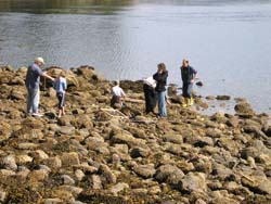 Butze Rapids site with volunteers