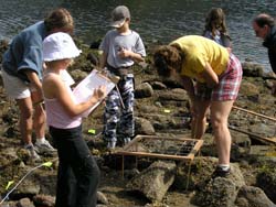 Butze Rapids Volunteers