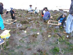 Volunteers and quadra