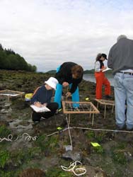 Volunteers and quadra