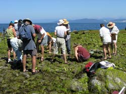 Hornby Island Volunteers Summer 2004