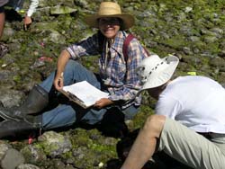 Hornby Island Volunteera