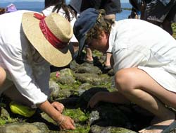 Hornby Island Volunteers