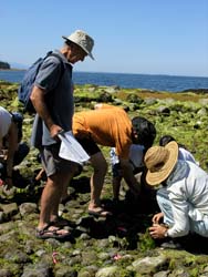 Hornby Island Volunteers