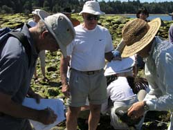 Hornby Island Volunteers