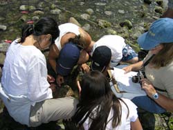 Hornby Island Volunteers