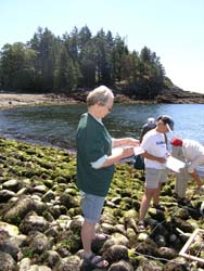 Hornby Island Volunteers
