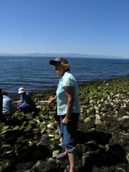 Keays Cove site and Volunteers