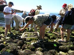 Keays Cove Volunteers