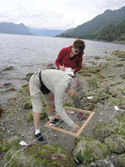 Volunteers and Quadrat at Lion's Bay
