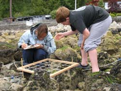 Lion's Bay Volunteers