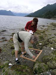 Lion's Bay Volunteers