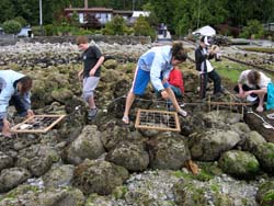Lion's Bay Volunteers
