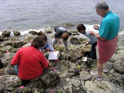 Lion's Bay Volunteers