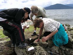 Lion's Bay Volunteers