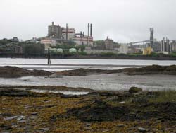 Kraft pulp mill at Prince Rupert