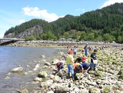 Porteau Cove Site and volunteers