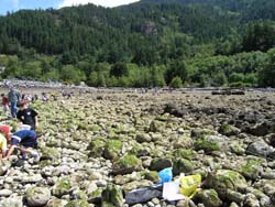 Porteau Cove Site and volunteers
