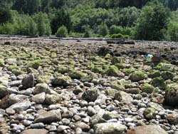 Porteau Cove Site and volunteers