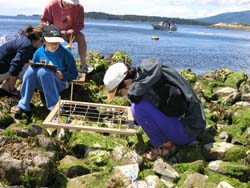 Tunstall Bay Volunteers