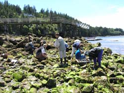 Tunstall Bay Volunteers