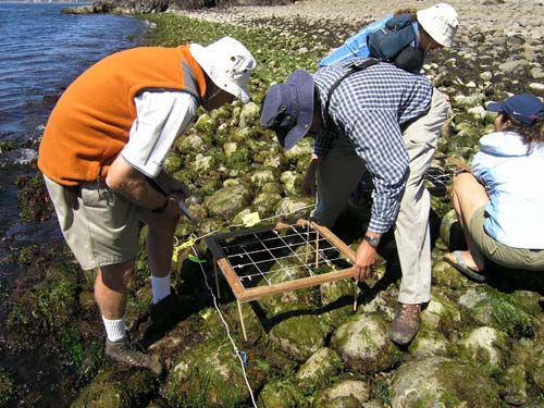 Volunteers and a Quadrat