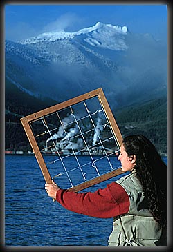 Shannon Bard with a gridded quadrat and pulp mill in background